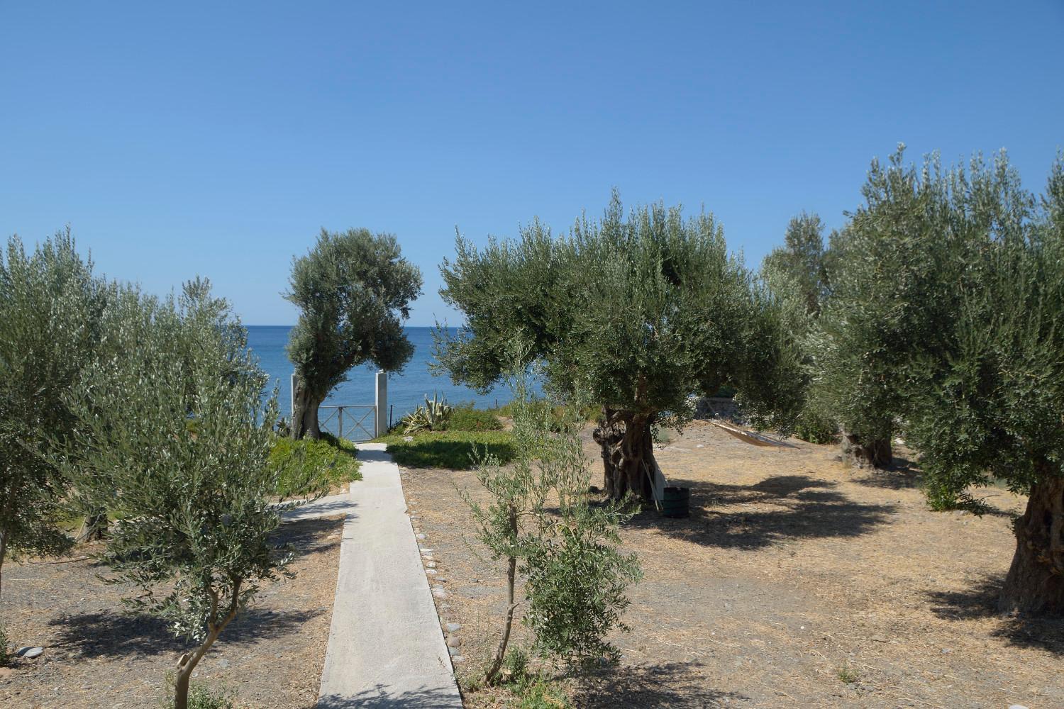 Melinda Holiday House Plomari Exteriér fotografie